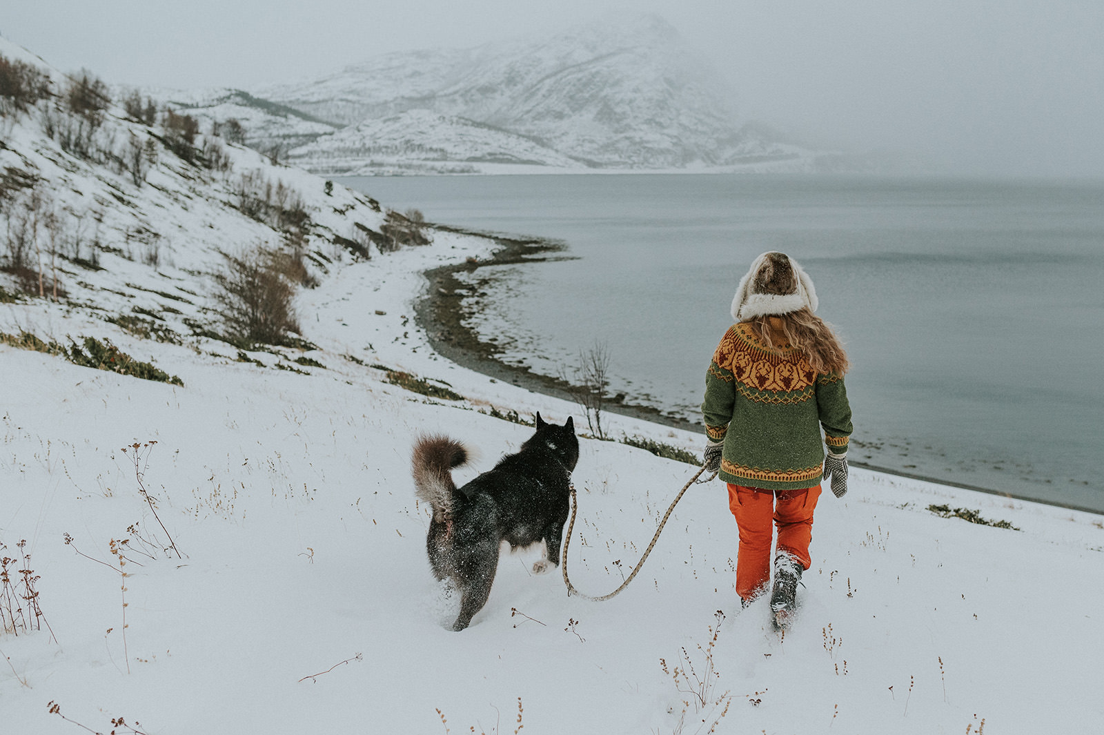 En ung dame spaserer med sin hun på en stormfull vinterdag i Alta med utsikt til hav og fjell