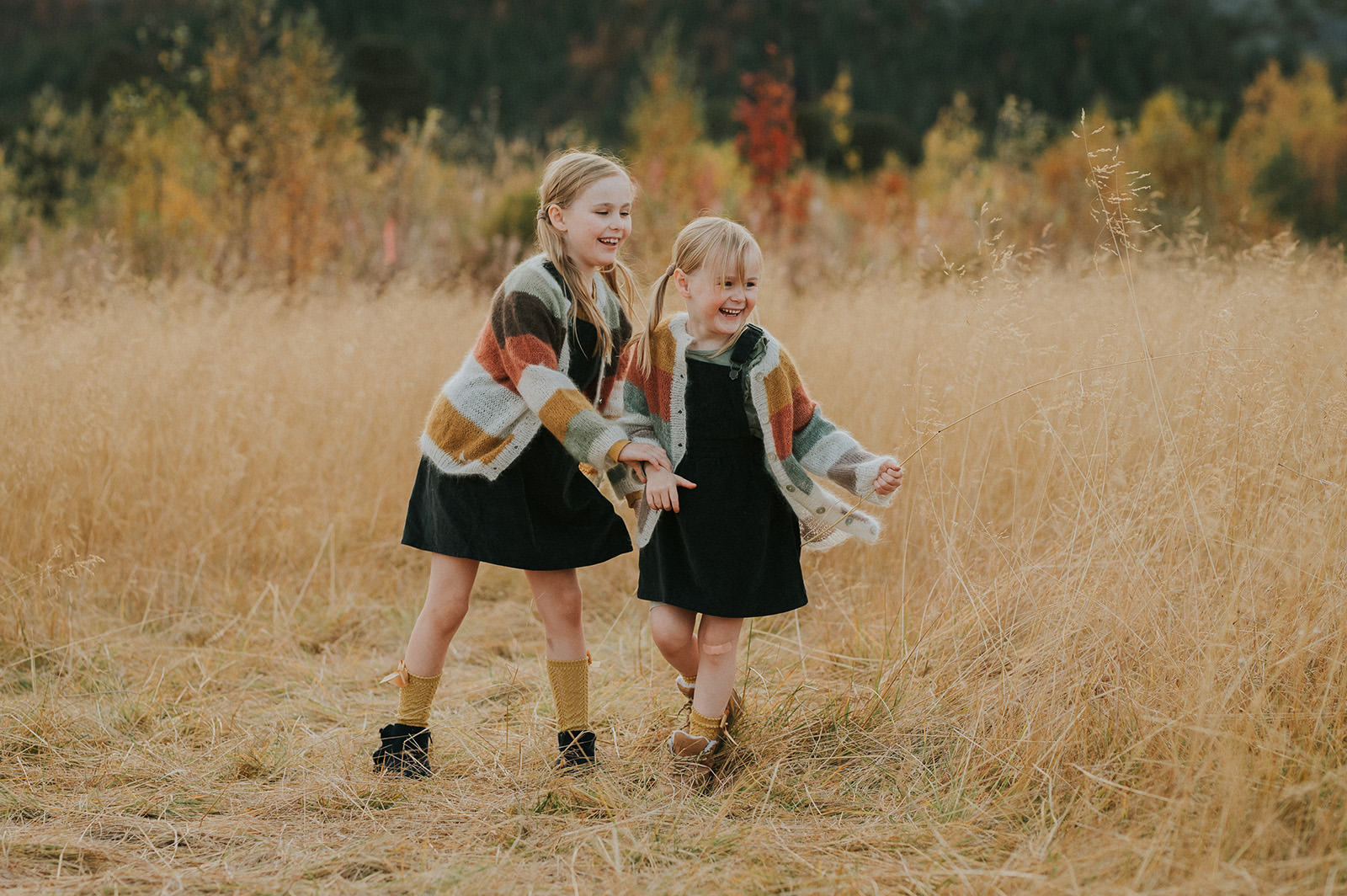 To søstre i matchende strikket gensere leker i en gylden åker på en varm høstdag