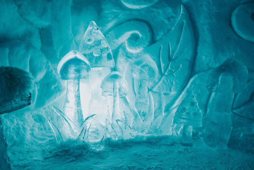 amazing sculpture in the northernmost ice hotel Alta