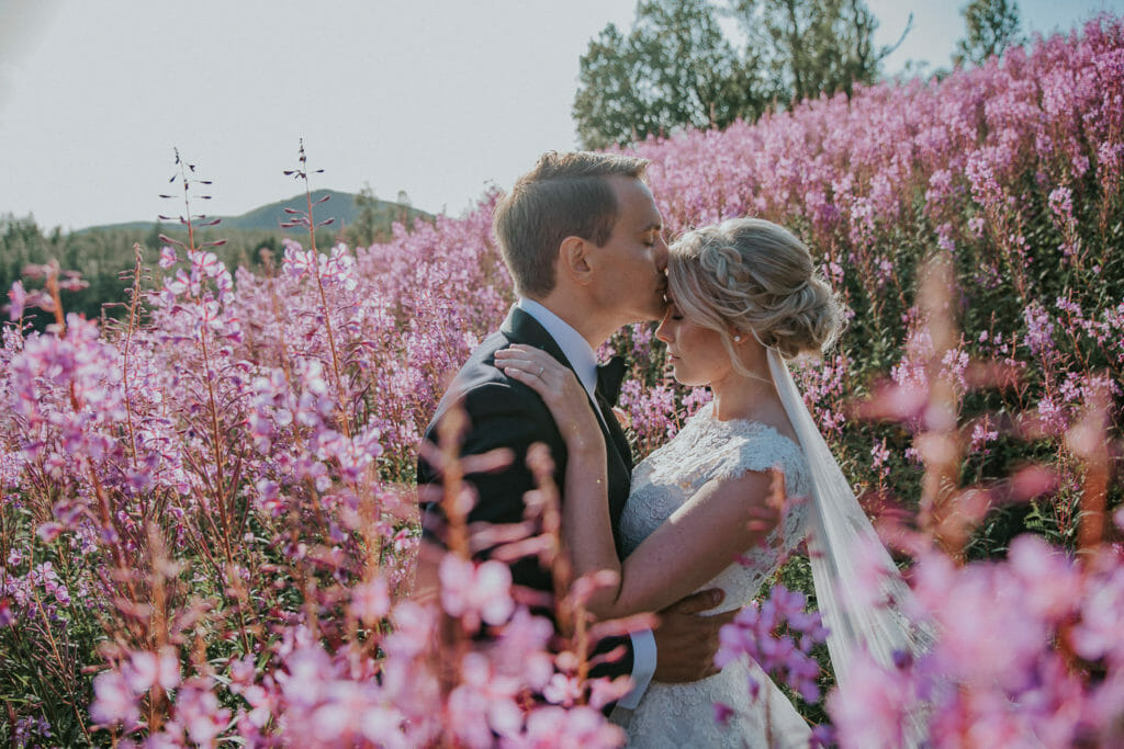 Groom kisses his bride on the forehead in a field of pink flowers on a sunny summer day