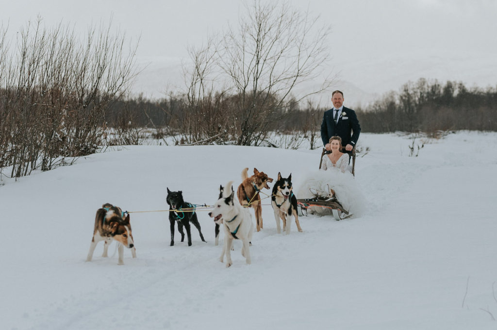 Brudepar kjører hundeslede blant nydelig vinterlandskap i Alta