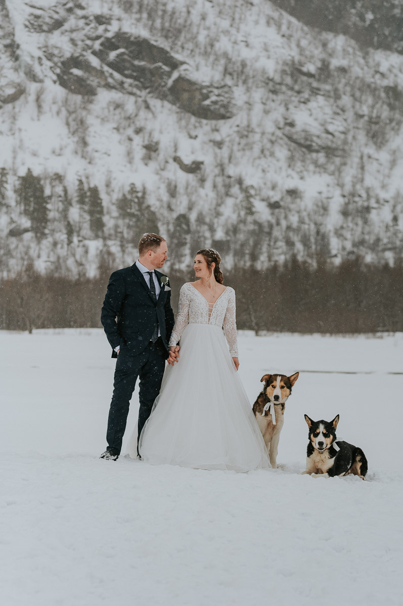 Brudeparbilde sammen med hundene i ALta blant nydelig vinterlandskap bryllupsfotograf Alta TS Foto Design
