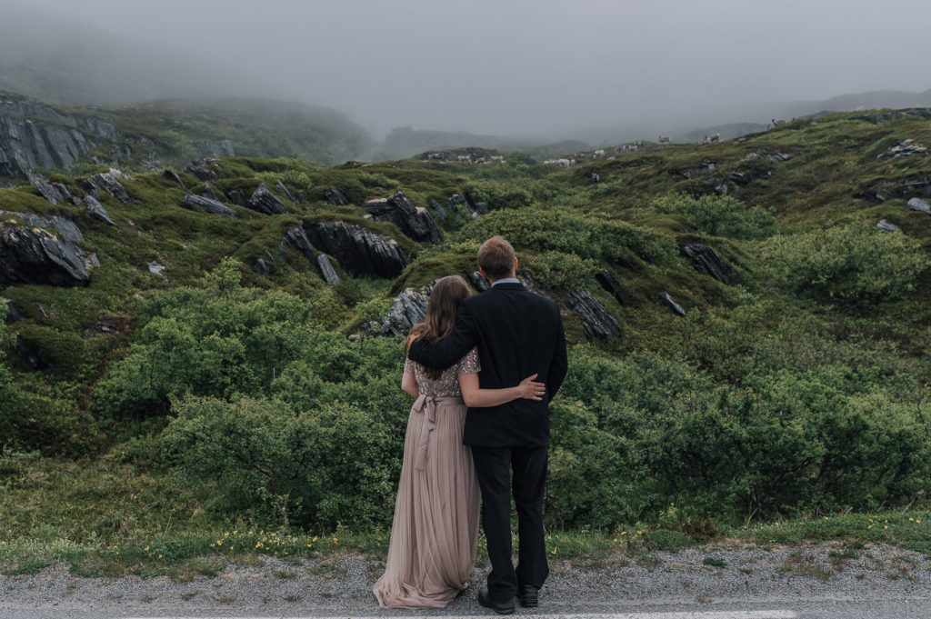 Bride and groom just eloped and discovered some reindeers in Sørøya Norway - elopement locations in Nprway