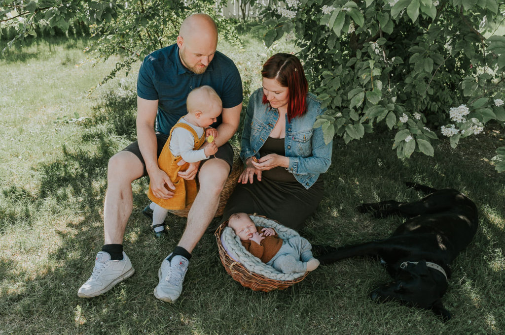 Familiebilde sammen med nyfødtbaby og hund utendørs om sommeren med grønne trær i bakgrunn