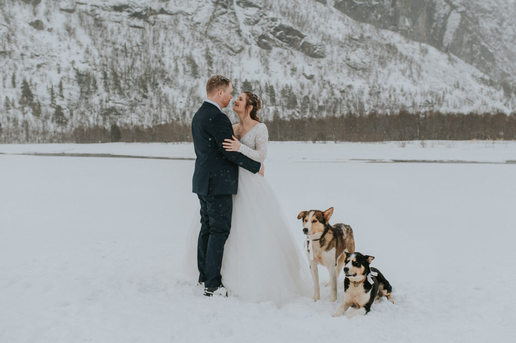 winter portrait of a Bride and groom with their husky dogs among beautiful winter landscape in Alta Norway