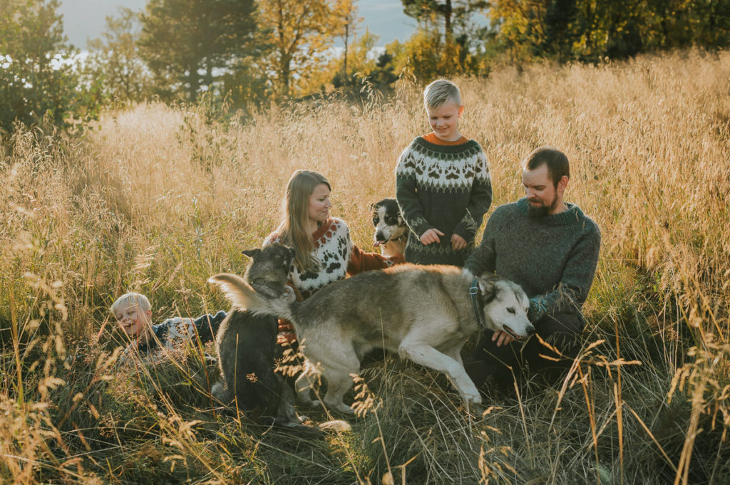 En familie samler sine husky hunder for en familiefotografering sammen med dem, hundene sørger for masse kaos mens alle flirer og har en god stemning