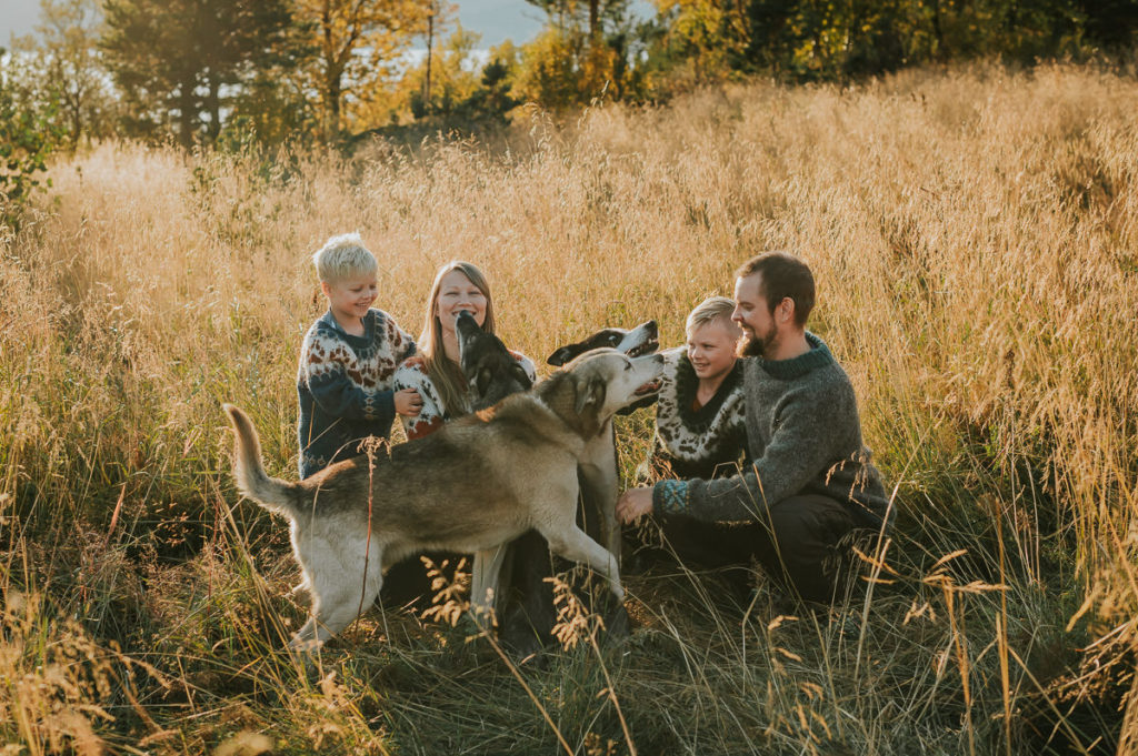 Familiefotografering sammen med hunder på en nydelig høstdag utenfor Alta i Finnmark. Familien er samlet på sin hytte og koser seg ute i naturen