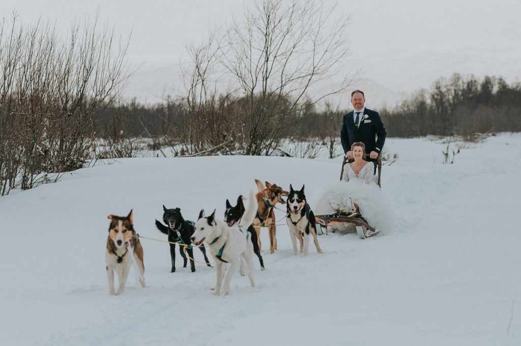 Bride and groom dogsledding among beautiful winter landscapes in Alta, Norway