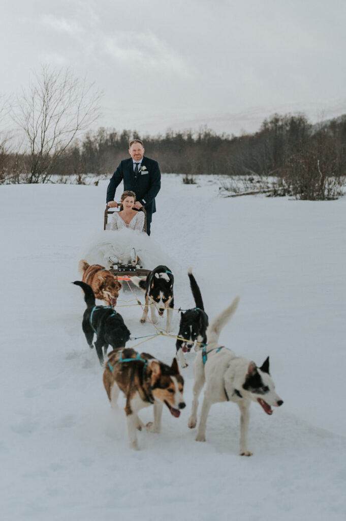 Bride and groom dogsledding to their winter wedding in Sorrisniva igloo hotel  Alta Norway