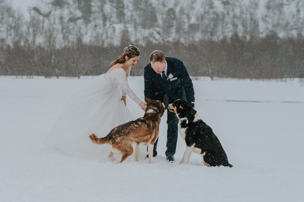 Husky dogs running towards bride and groom on the day of their dogsledding winter wedding in Alta Norway