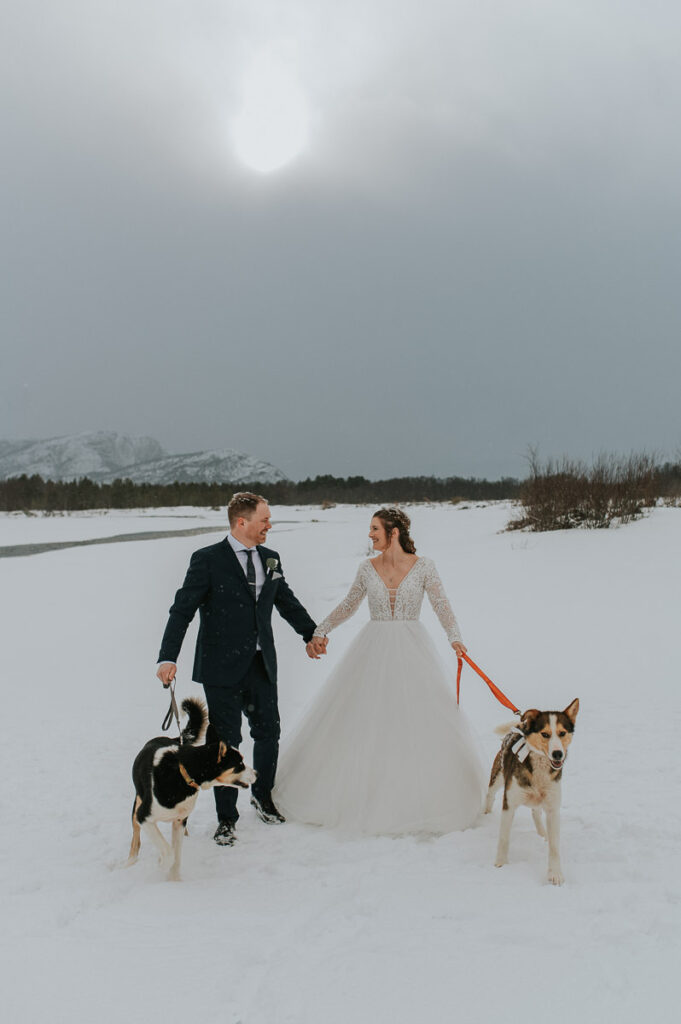 Bride and groom walking among a beautiful white  winter landscape in Alta norway together with their husky dogs right before their winter dogsledding wedding in Norway