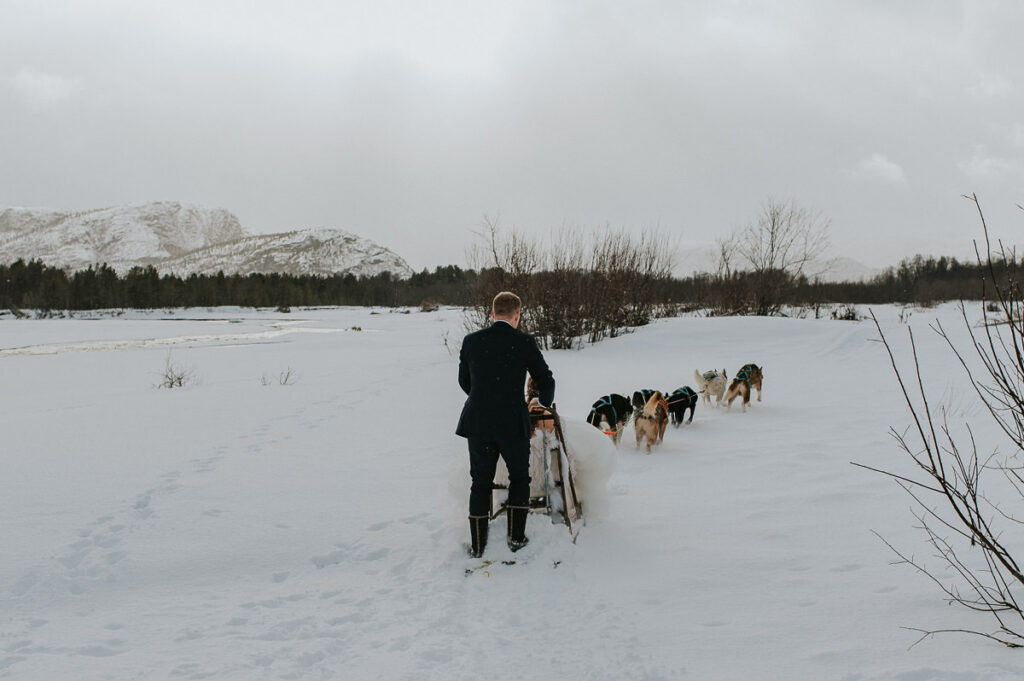Bride and groom dogsledding to their winter wedding in Sorrisniva Alta Norway