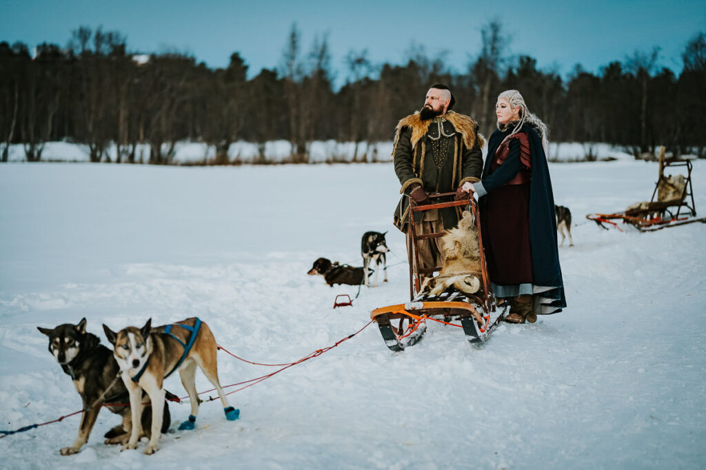 Viking style wedding with husky dogs ready for dogsledding tour in Alta Norway