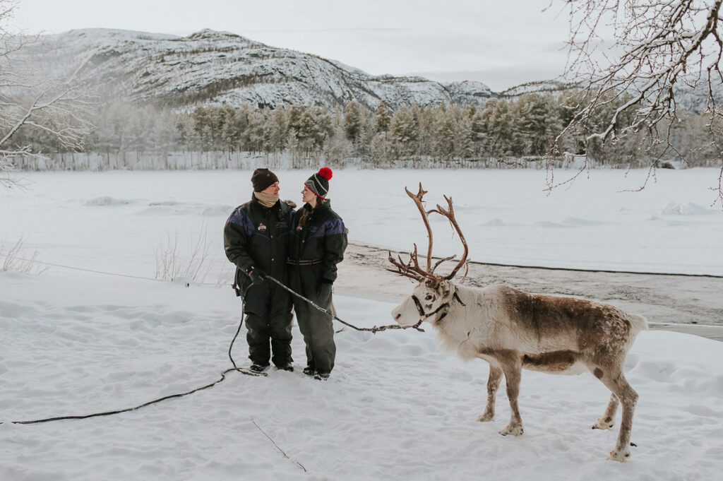 Cute couple reindeer sledding in a winter forest in Alta Norway 