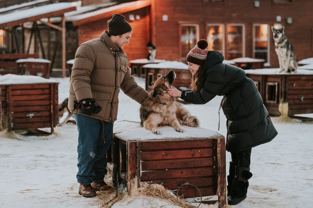 Cute couple is cuddling with husky dogs after their dogsledding experience in Alta, Norway
