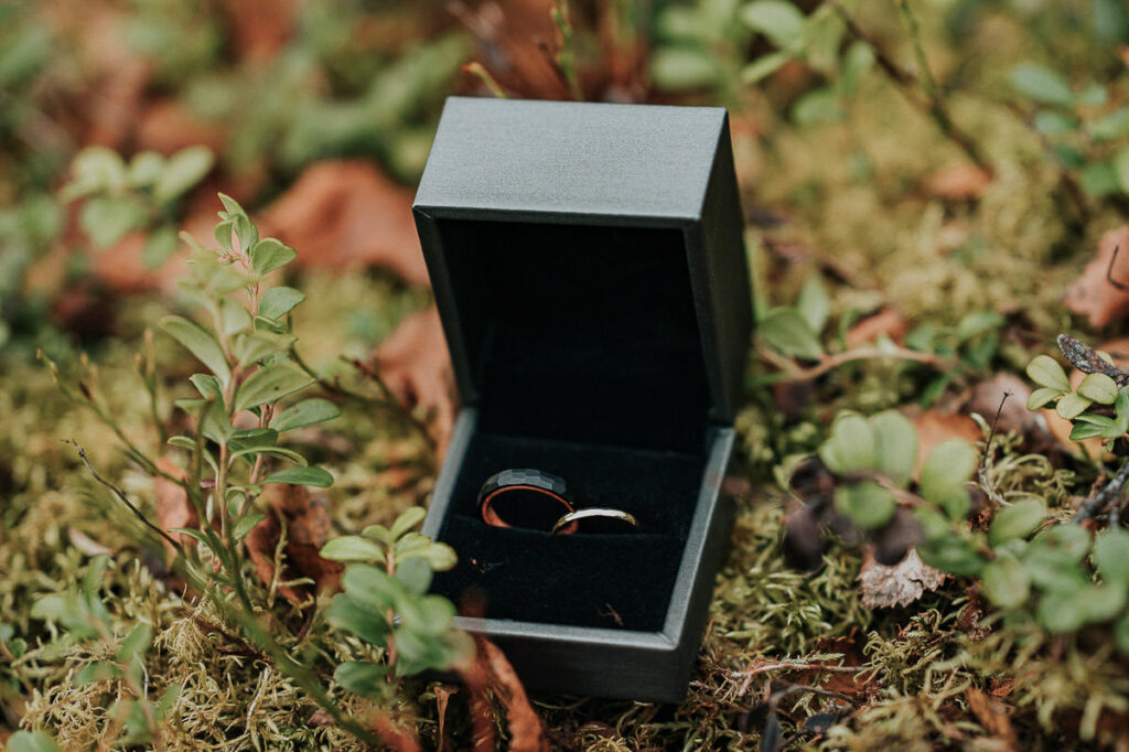 Wedding ring box featuring black and golden ring among heather in the wood