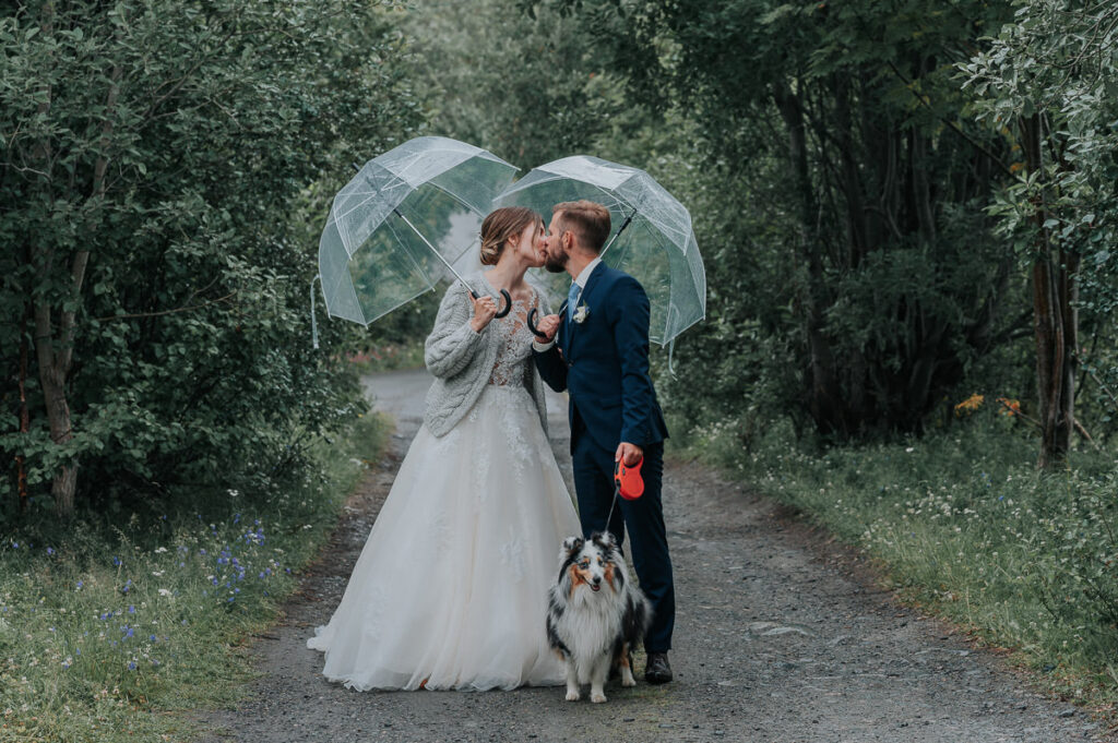 Brudepar fotografering i en skog i Alta - brudepar kysser under paraply mens de holder sin hund mellom seg - beste foto locations for et bryllup i Alta