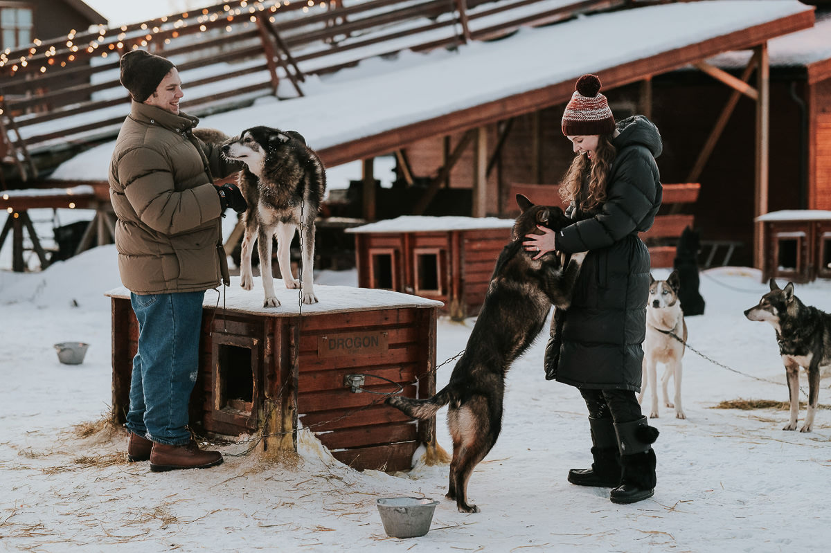 Happy couple playing with husky dogs after their dog sledding experience in Alta Norway