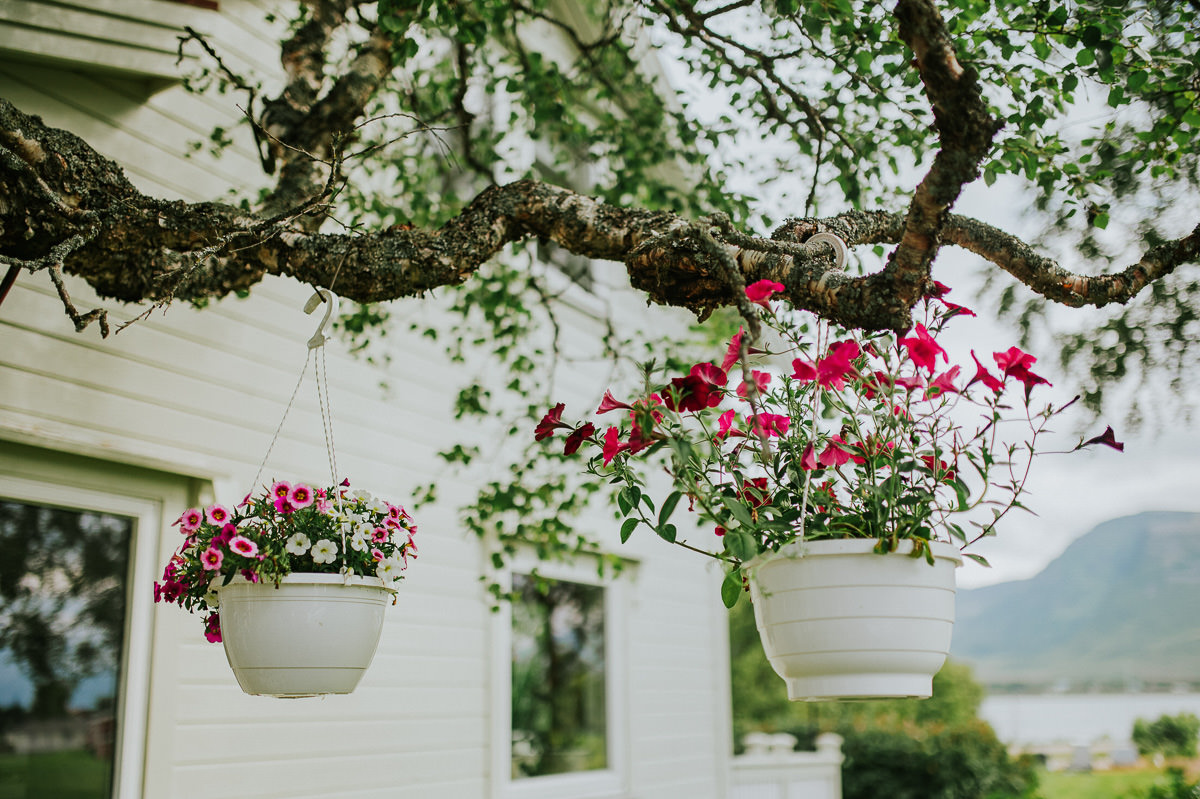 Hageblomster henger fra et tre