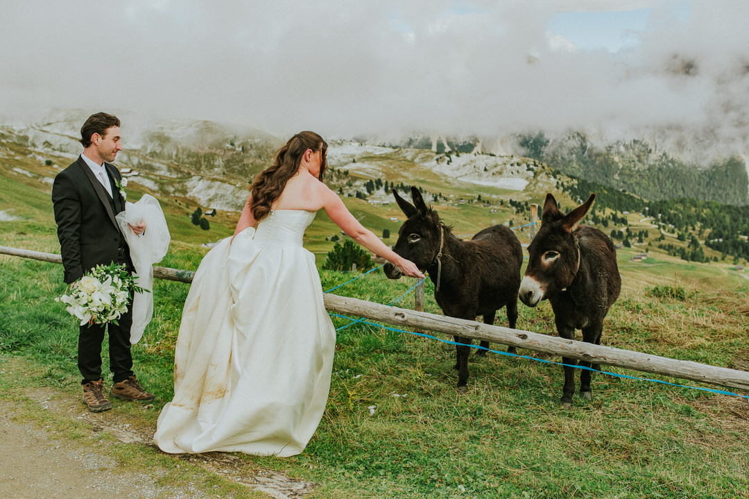 Adventurous bride and groom petting donkeys in the Italian Dolomites