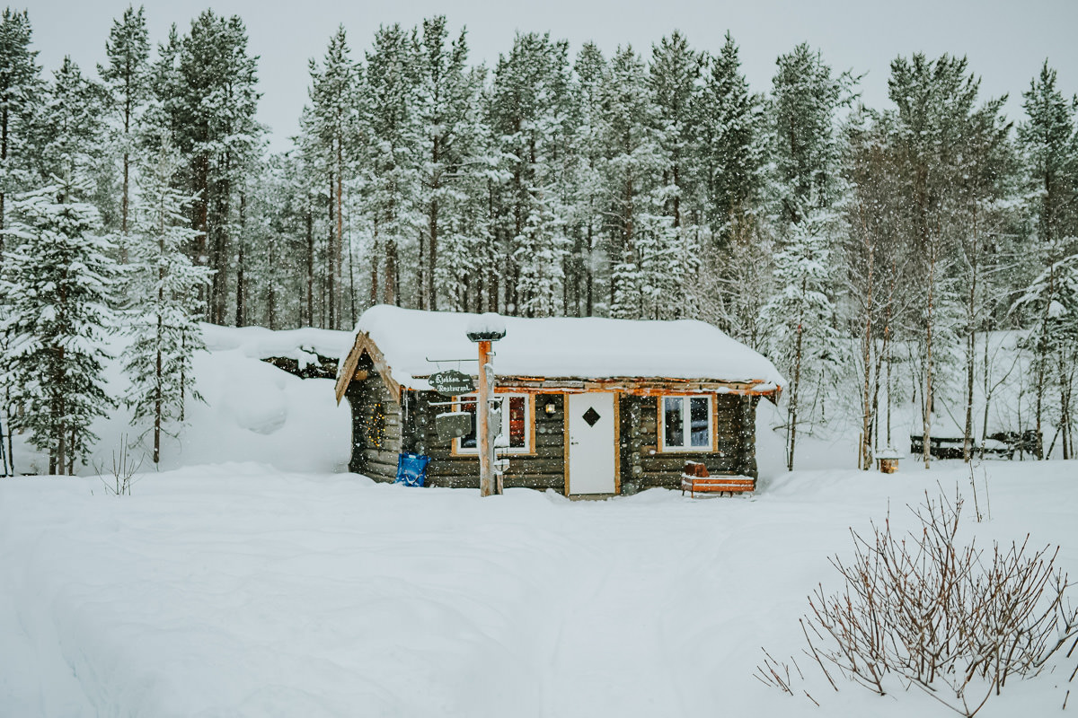 Cute old wooden shed in the woods under a beautiful snowfall