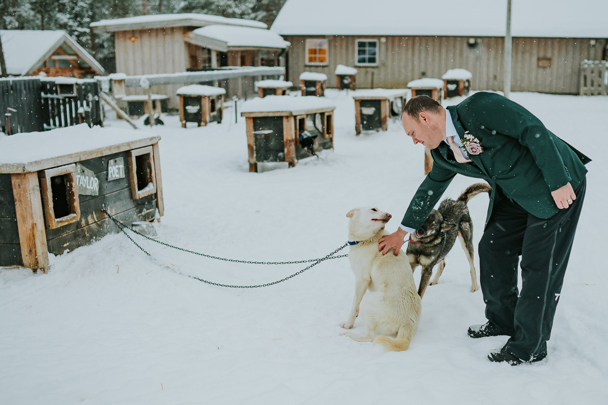 A groom is petting husky dogs