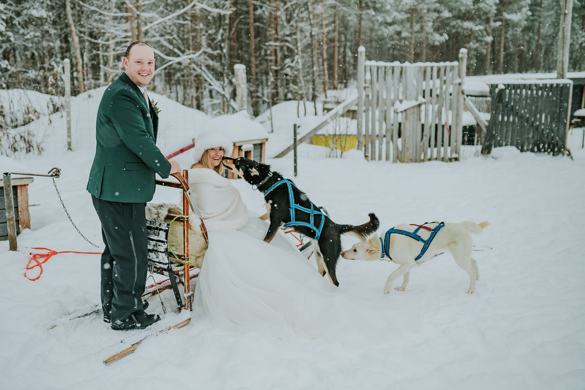 Bride and groom in a dog sled under a snowfall in Alta Norway