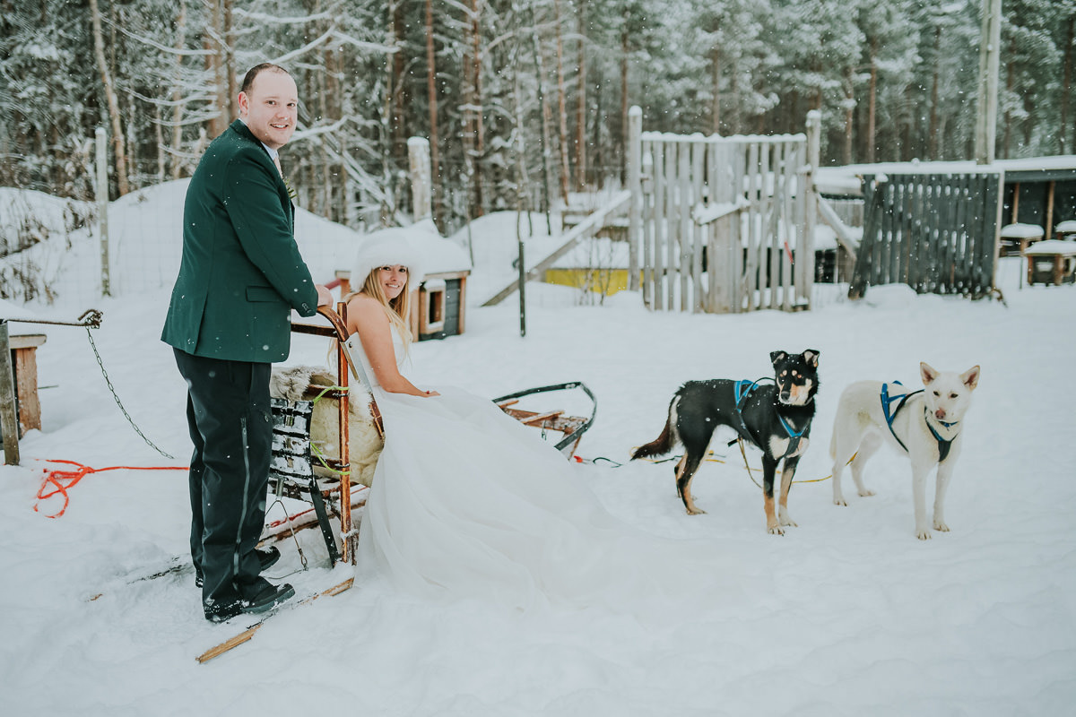 Bride and groom in a dog sled under a snowfall in Alta Norway