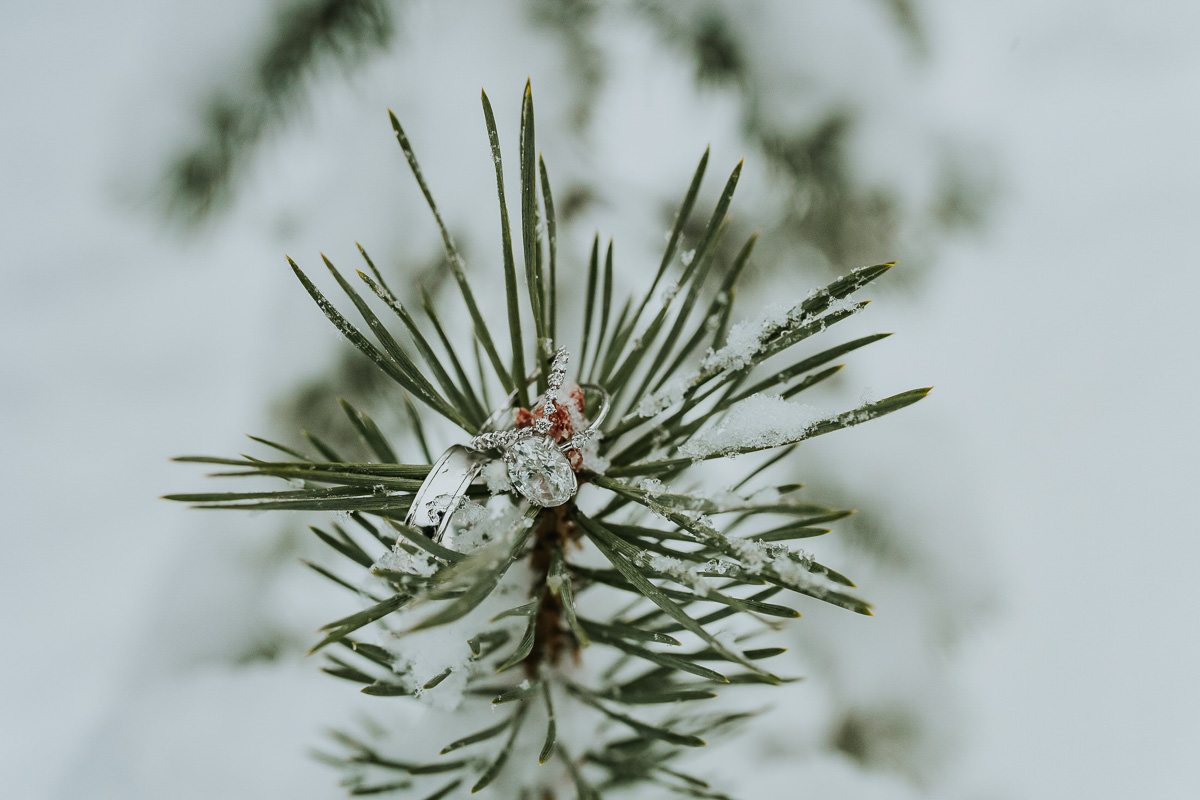 Wedding rings on a pine tree branch covered with snow