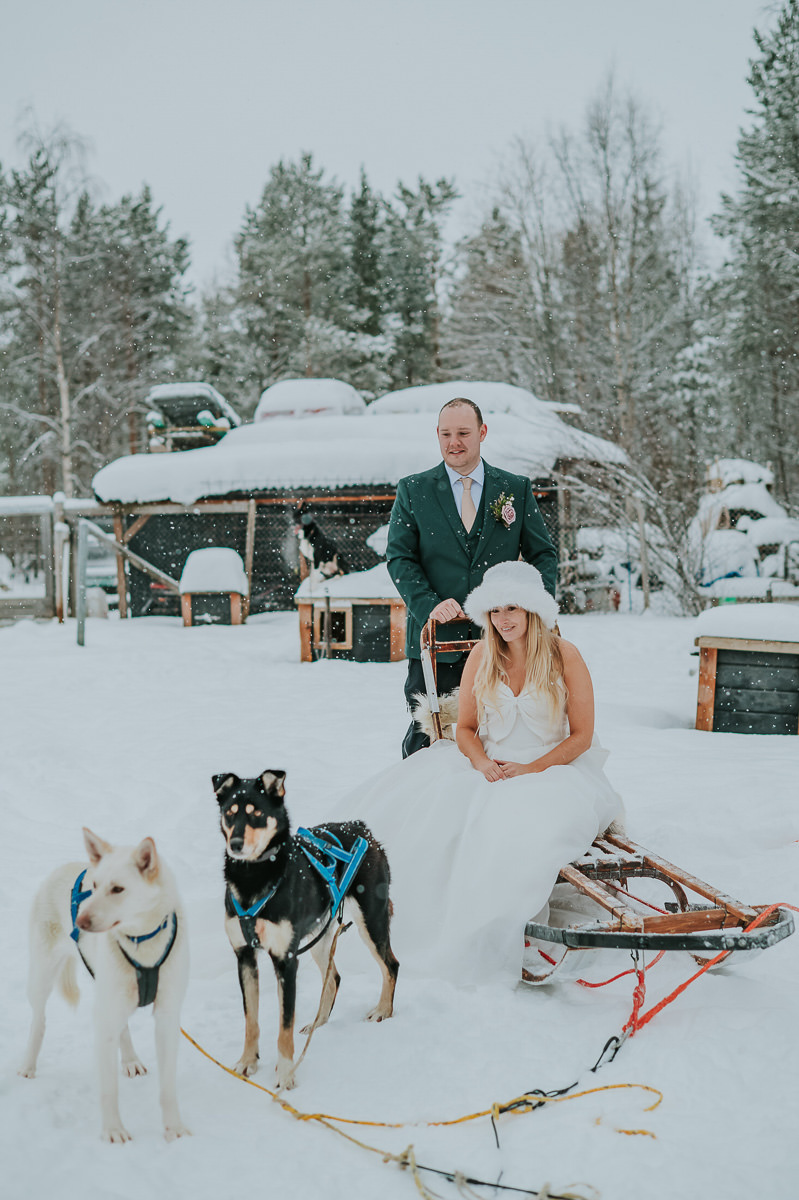 Bride and groom in a dog sled under a snowfall in Alta Norway